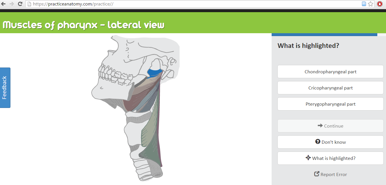 PracticeAnatomy.com - Review Human Anatomy In Pictures