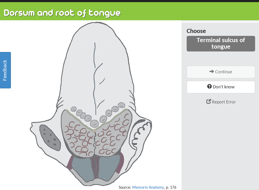 Bones - PracticeAnatomy.com - review human anatomy in pictures