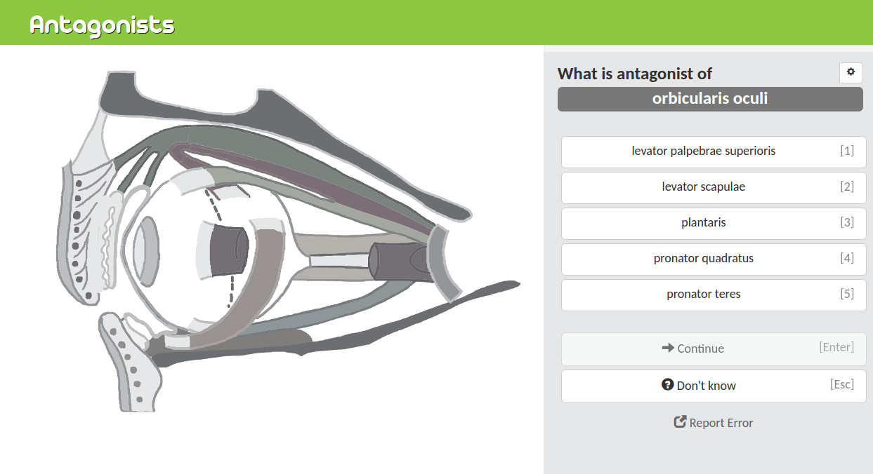 PracticeAnatomy.com - Review Human Anatomy In Pictures