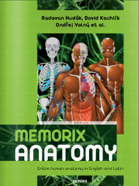 Memorix Anatomy